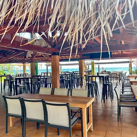 Playa Pachamama キャンプ場 イエール